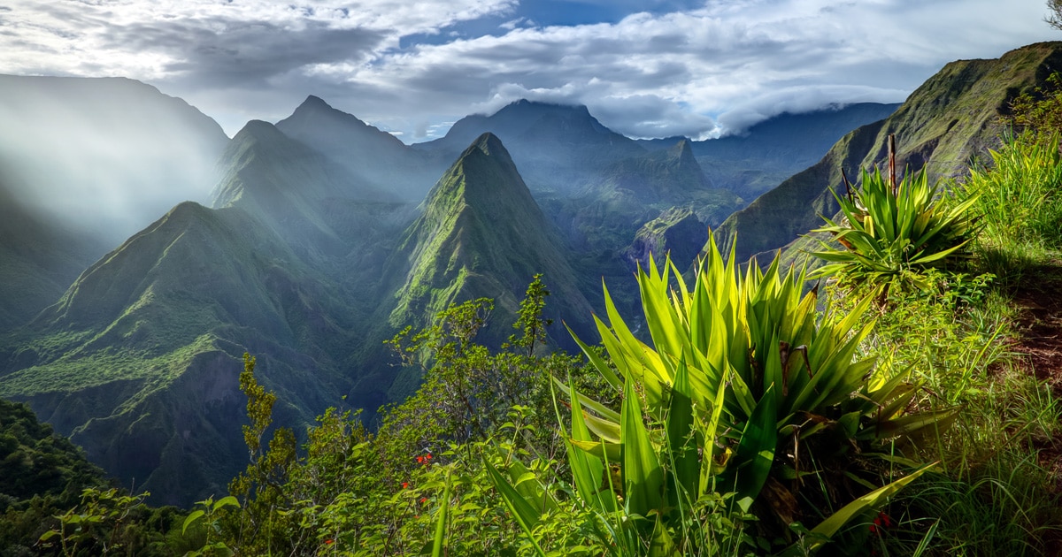 Découverte en musique de l&rsquo;Ile de la réunion et de sa biodiversité exceptionnelle.