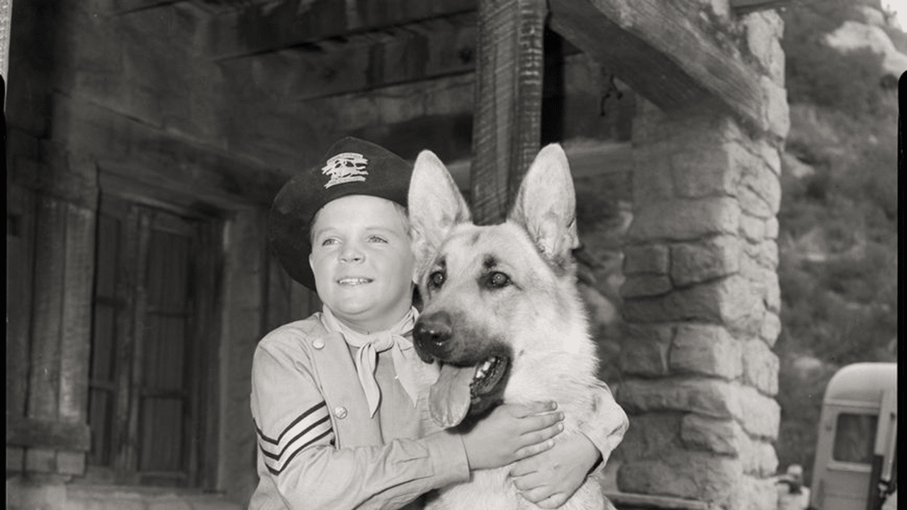Souvenirs : Rintintin le générique Rusty Fort Apache et l&rsquo;histoire du vrai Rintintin.