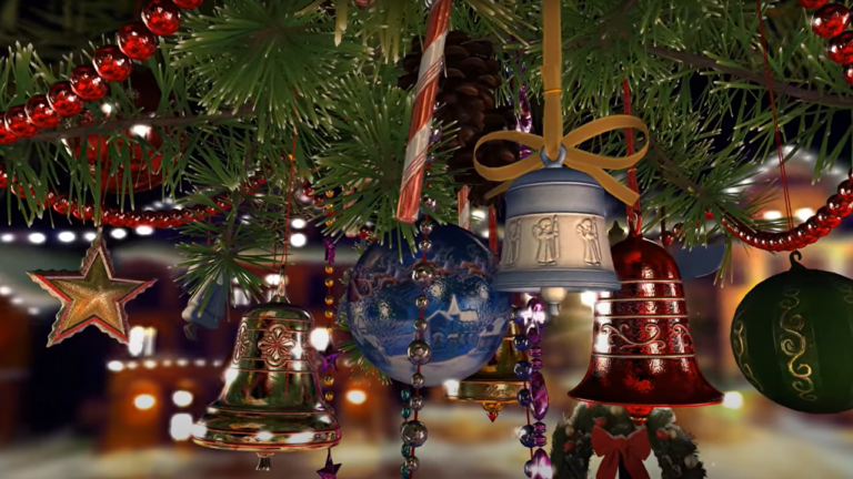 Le sapin de Noël : C'est aussi le plus beau jour pour lui ! - sapin