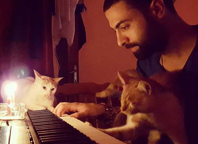 Sarper Duman est un pianiste turc qui adore jouer pour ses chats - sarper duman chats piano istanbul 4 1