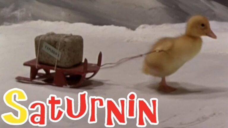 Souvenirs : Les aventures de Saturnin, le petit canard. - saturnin
