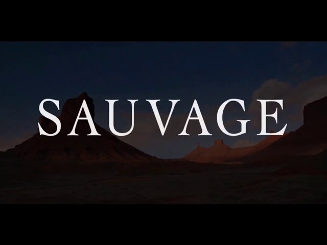 Musique de Pub Sauvage Dior (Johnny Depp) 2019 - Sauvage (Theme) - Ry Cooder - sauvage dior johnny depp