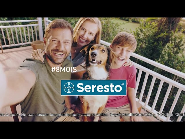 Pub Seresto pour chien et chat Bayer mars 2020 - seresto pour chien et chat bayer