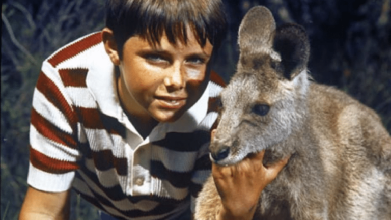 Souvenirs TV : Skippy le kangourou. Revoyez le générique... - skippy