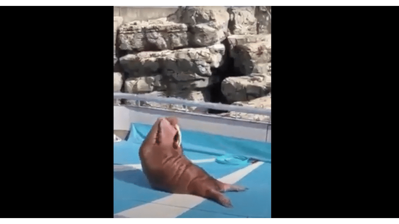 Pour garder la forme faites du sport