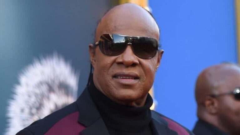 Stevie Wonder, le roi des Grammy Awards (il en a reçu 25) fête ses 71 ans - stevie wonder 2 1