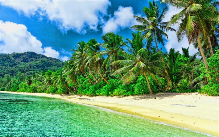 Bora Bora - Polynesie - thumb2 caribbean islands sea palm trees paradise beach