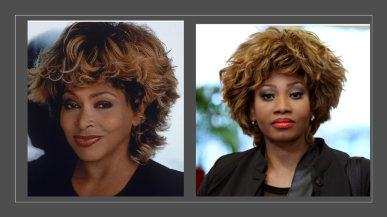 Tina Turner attaque en justice son sosie Dorothea « Coco » qui lui ressemble trop - tina turner 1