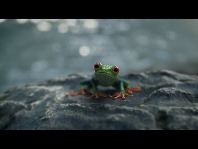 Pub Verres optiques Nikon (la grenouille) février 2020 - verres optiques nikon la grenouille