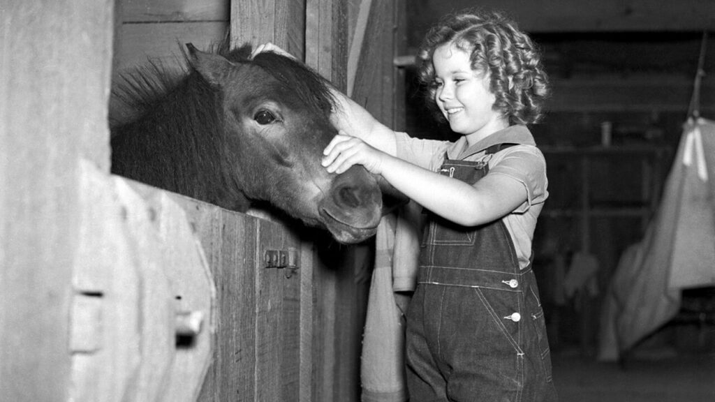 Boucles d'or - Shirley Temple