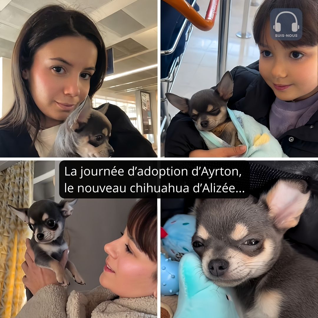 Alizée nous amène avec elle adopter son « nouveau bébé », Ayrton un petit chihuahua…