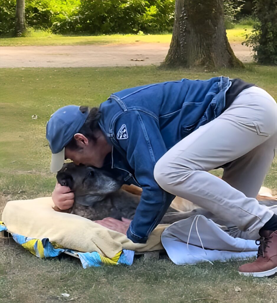 Suis-Nous - "15 ans et demi. Elle tient par amour." Anthony Delon nous parle de sa chienne Blew Suis-Nous - "15 ans et demi. Elle tient par amour." Anthony Delon nous parle de sa chienne Blew
